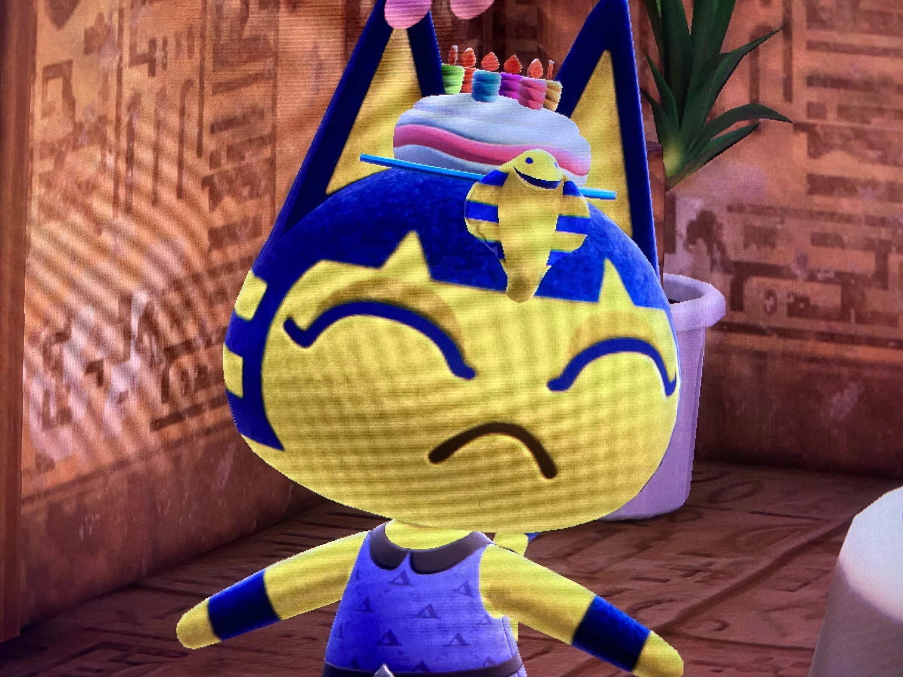 Анкха animal Crossing. Анимал Кроссинг Ankha. Анкха кошка animal Crossing. Ankha animal Crossing игра. Ankha animals