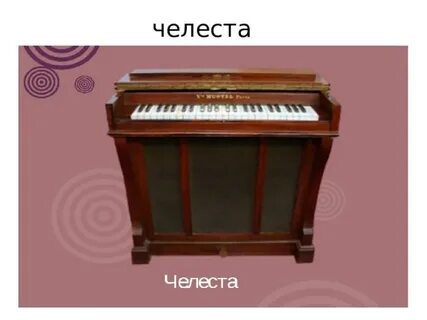 Челеста какой музыкальный инструмент