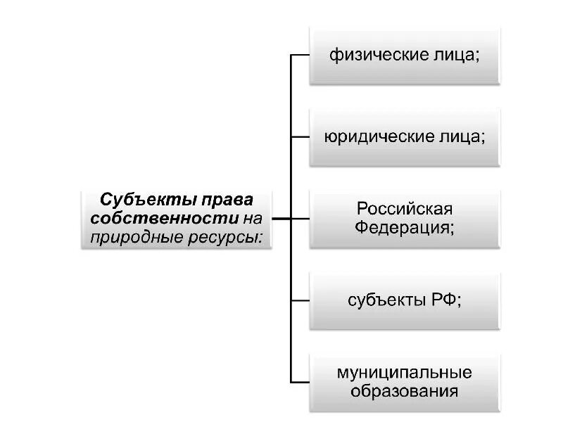 Право собственности на природные объекты схема. Право собственности на природные объекты экологическое право. Право собственности на природные ресурсы являются