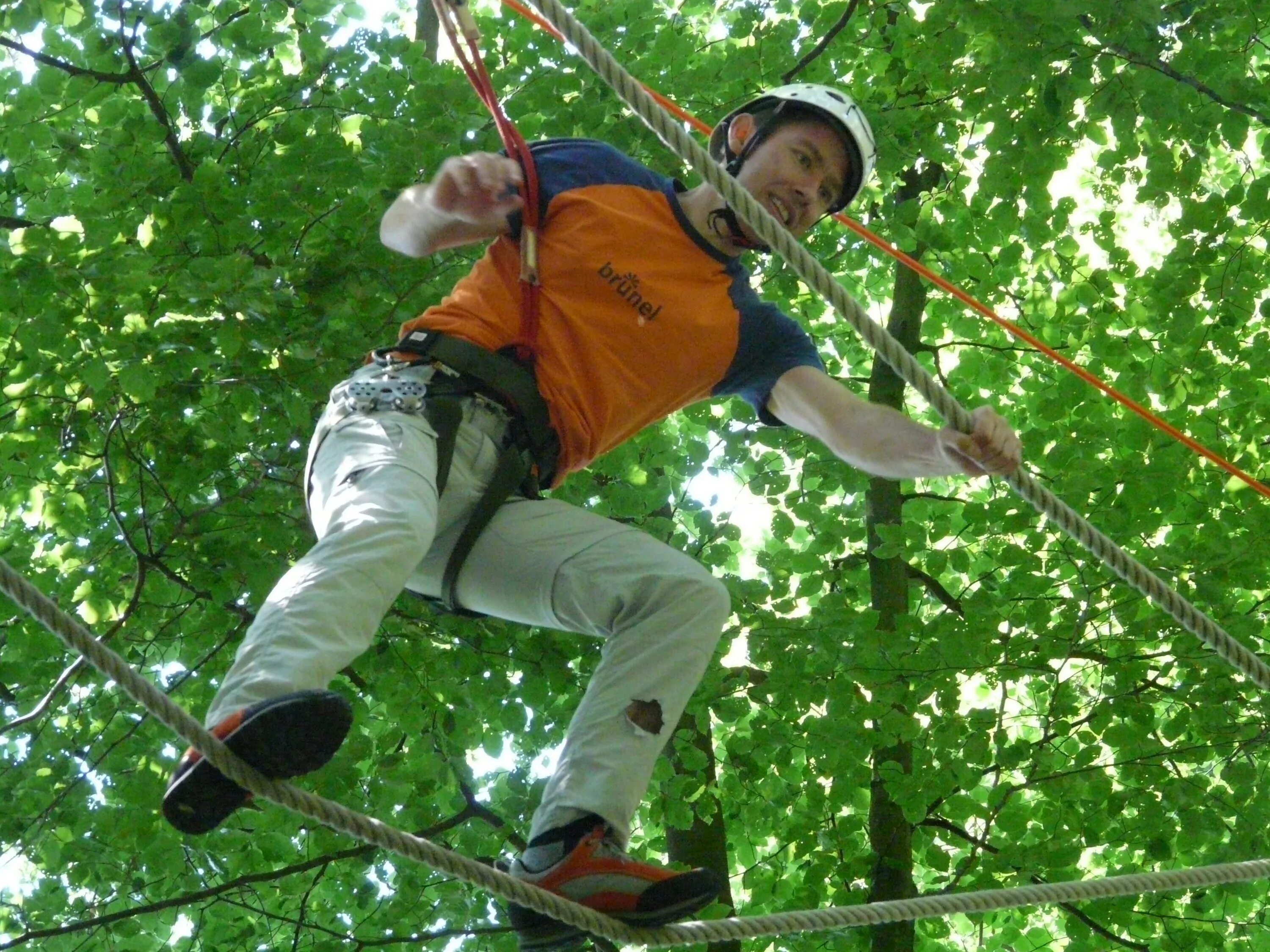 Команды для тряски. Веревочный парк High Ropes course,. Страх веревочного парка. Трос для веревочного парка. Альпинистский канатный городок.