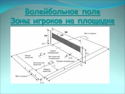 Волейбольное поле игроки