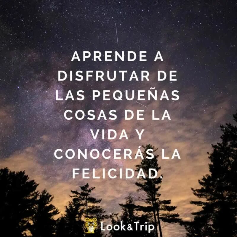 Фразы эмоций на испанском. Las cosas de la vida. Aise be la vida. Cosas de la vida (can't stop thinking of you). Cosas.