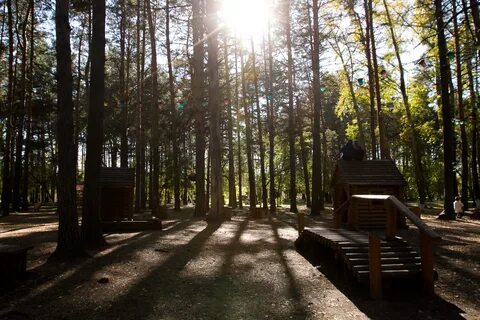 Заельцовский парк фото