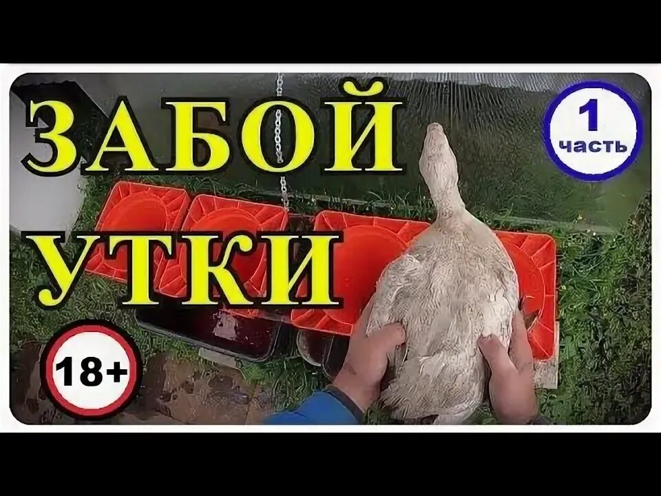 Как вывести мулардов