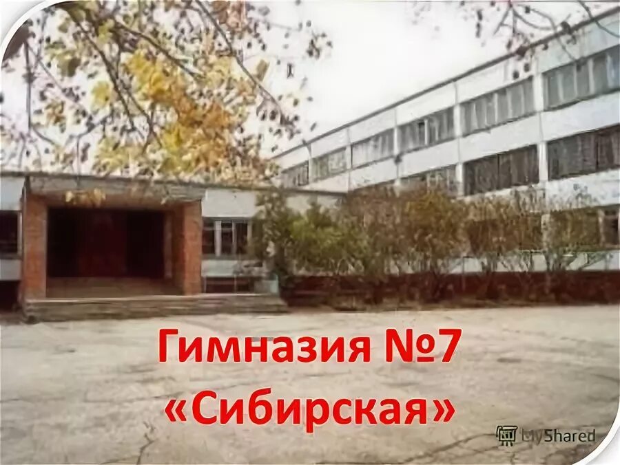 гимназия 7 сибирская новосибирск