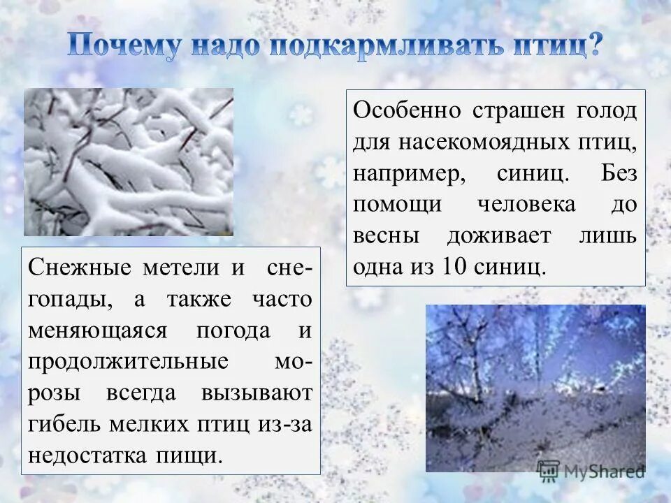 Корм для зимующих птиц. Зимняя подкормка птиц. Памятка корм для зимующих птиц. Чем можно кормить птиц зимой. Чем нужно кормить птиц.