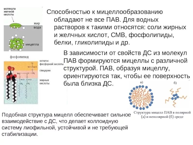 К пав относятся желчные кислоты. Мицеллообразование пав. Поверхностно активные вещества. Белки относятся к пав. Водный раствор пав