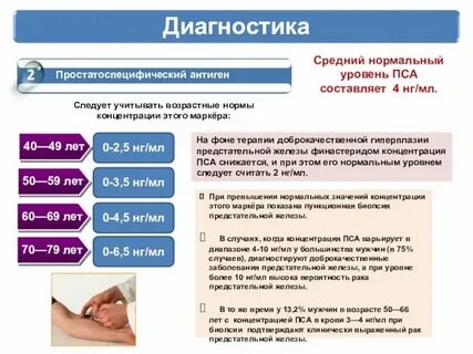 Как снизить уровень пса
