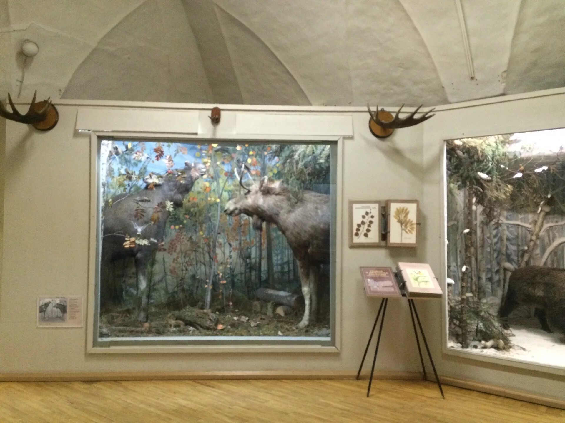 Учреждение культуры галерея. В. Выставка в картинной галерее в тамбове. Сцена цкио иваново. Химкинская картинная галерея им с.