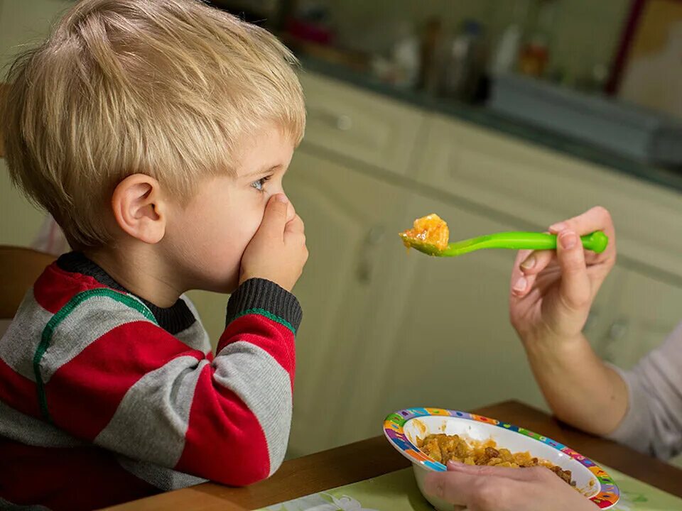 Дети невкусные. Ребенок отказывается от еды. Пищевые пристрастия малыша. Дети разборчивы в еде. Ребенок плохо ест.