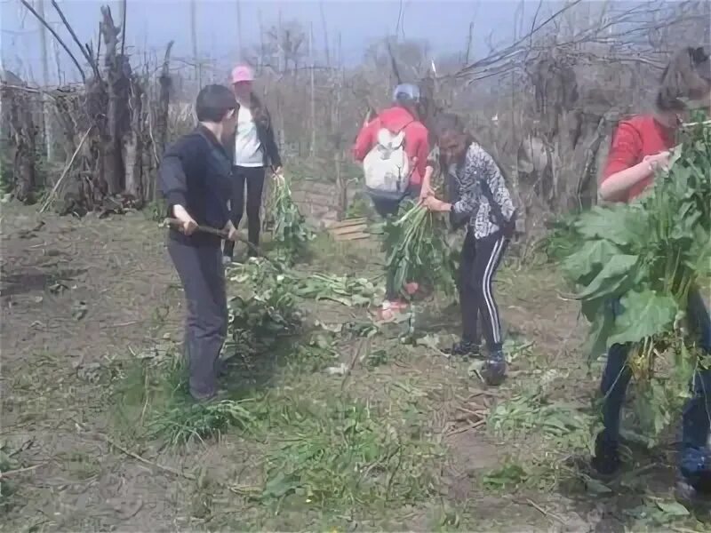 Погода в псыхурее на неделю