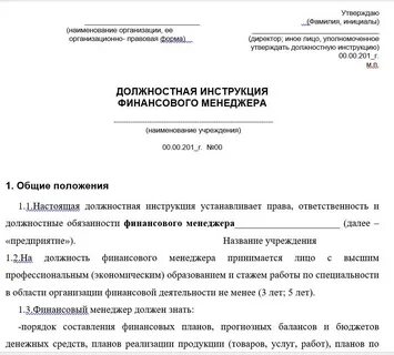 Типовая инструкция директора