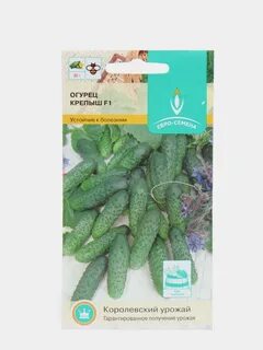 Северен огурец отзывы