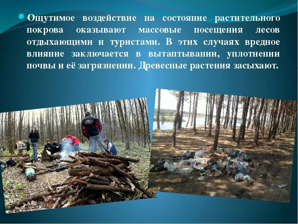 Сообщение на тему влияние осадков на природу. Влияние человека на природу. влияние деятельности человека на природу. плохое влияние на природу. влияние человекатна прирду.