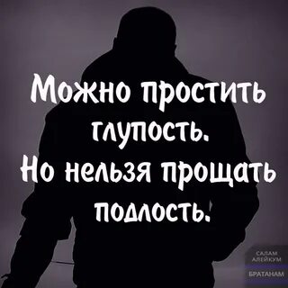 Извинить глупо