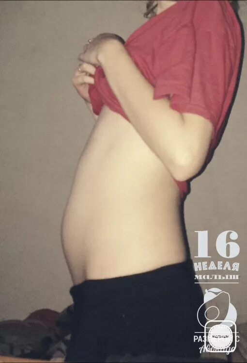 Живот на 16 неделе беременности. 16 Недель беременности жи. Беременный живот на 16 неделе. Живот при беременности 16 недель. Тянет живот на 16