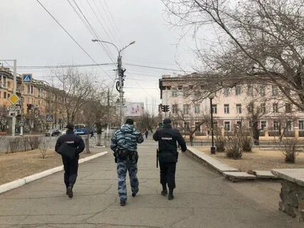 Убежала чита