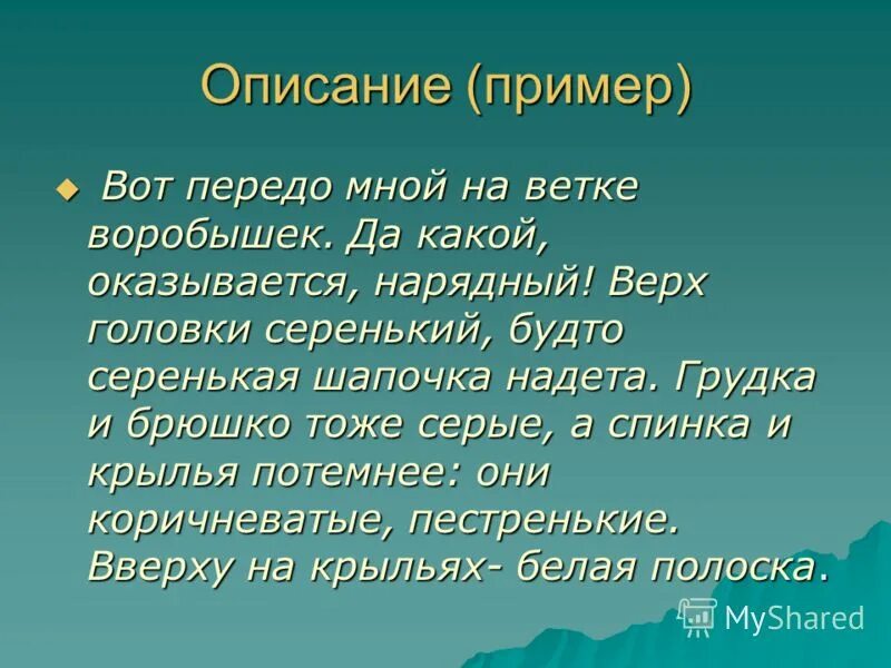 Текст описание