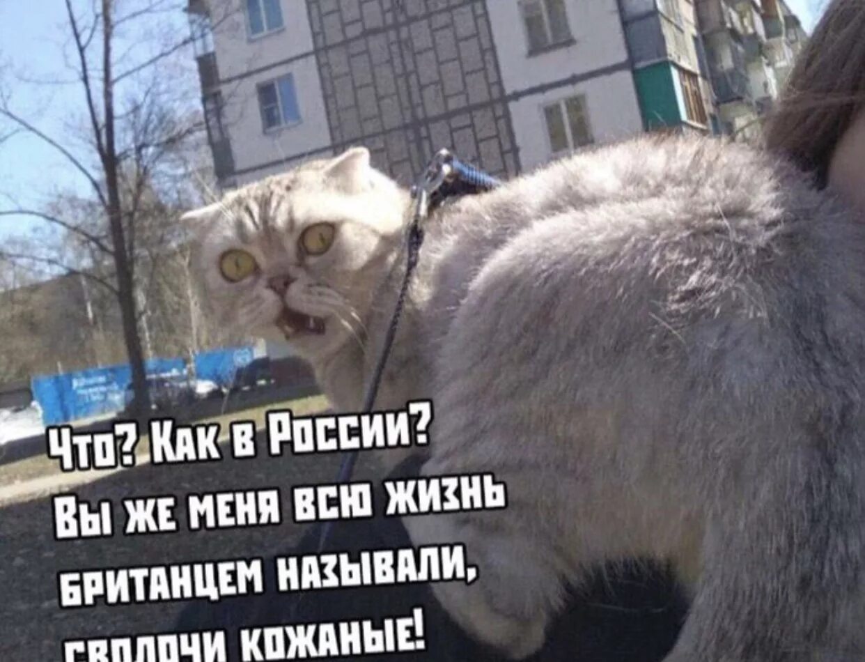 Пройтись решать. Пройтись решать