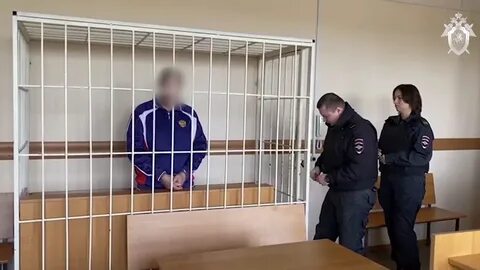 Задержанный в подмосковье