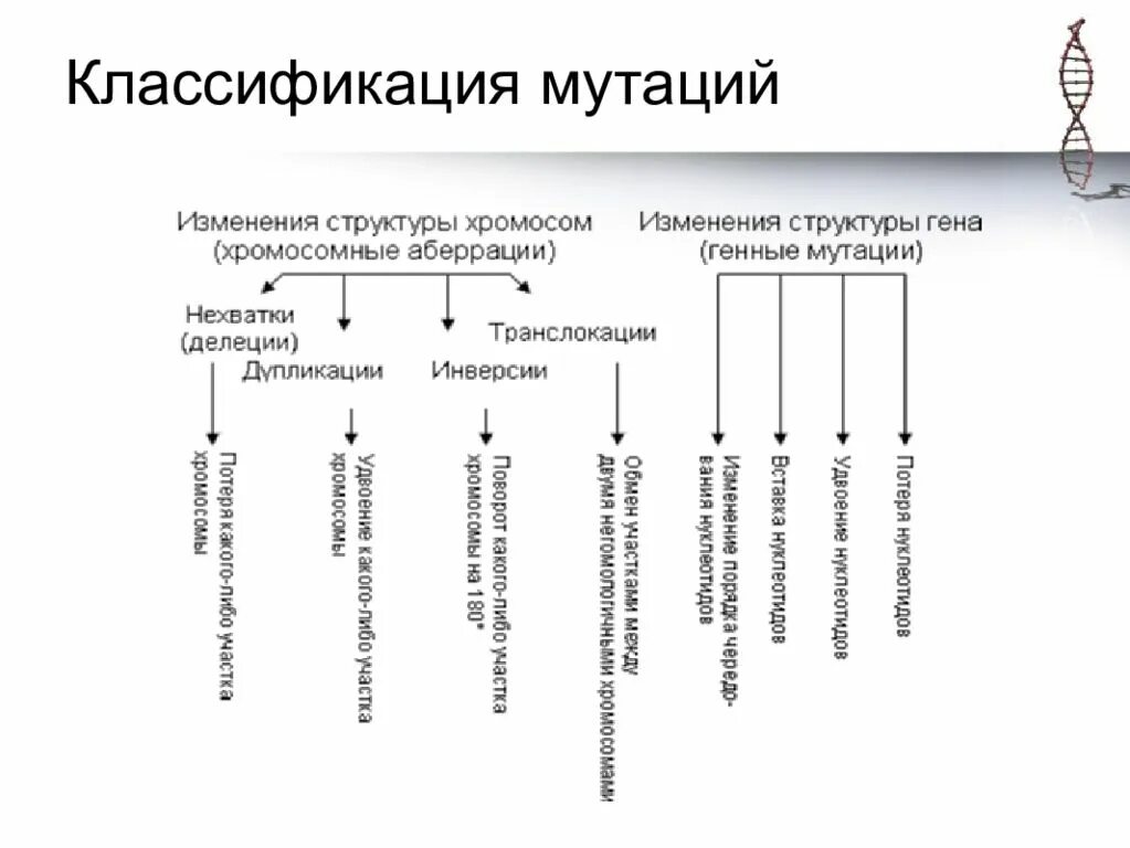 К описанию генных мутаций относятся. Классификация мутаций схема. Составьте схему классификации мутаций.. Классификация мутаций таблица. Классификация мутаций по генотипу.