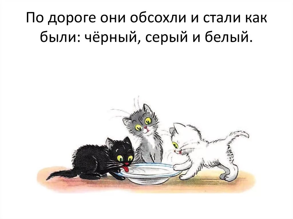 Сутеев 3 котенка. Сутеев в. "три котенка". Иллюстрации к сказке Сутеева три котенка. Рассказ 3 котенка. Три котенка слова