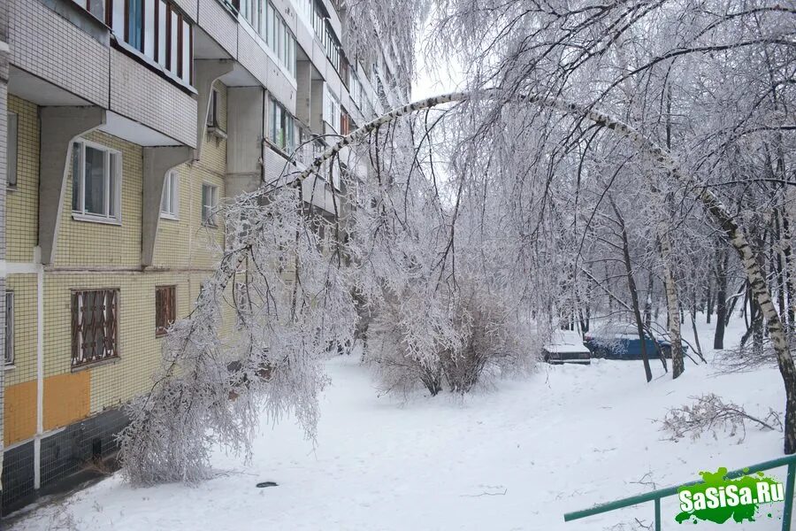 Когда был ледяной дождь. Ледяной дождь в москве 2010. ледяной дождь в россии 2010 год. ледяной дождь в россии (2010 г, декабрь). ледяной дождь в москве в 2010 году.