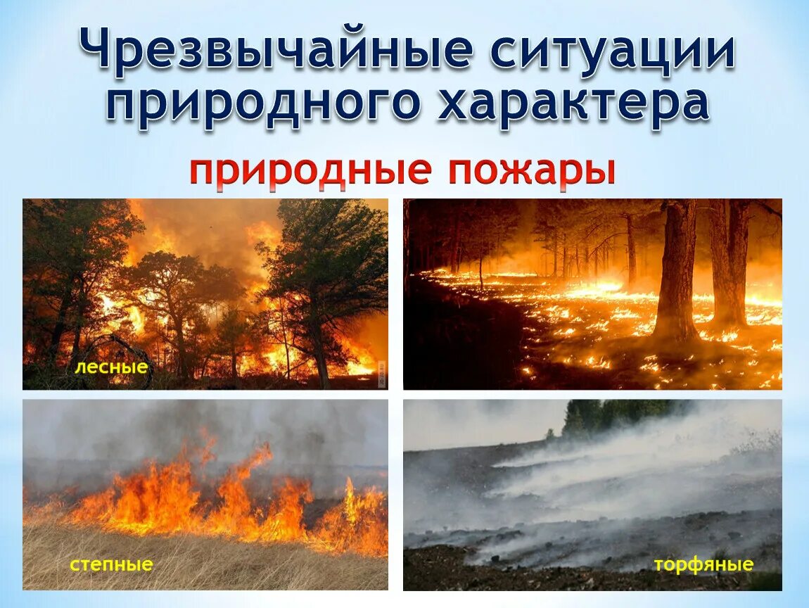 Пожары относятся к чс. ЧС природного характера. Природные пожары ЧС природного характера. ЧС Лесные пожары. Лесные, торфяные и степные пожары ЧС природного характера.