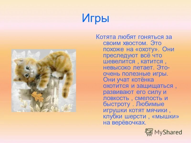 Описание про кошку 5 класс. Рассказ о коте. Презентация на тему кошки. Маленький рассказ про кошку. Рассказ котенок.