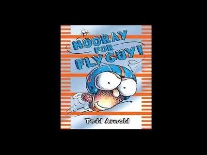 The fly guy
