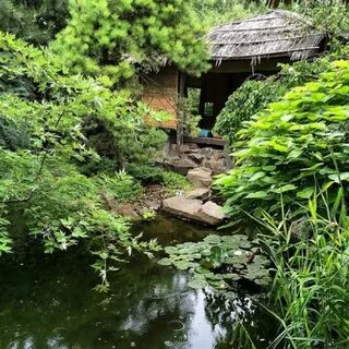 Сады новочеркасск
