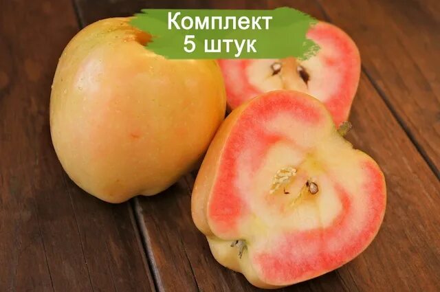 Сорт яблони пинк перл. Яблоня пинк перл. сорт яблок пинк перл. сорт яблок -пинк перл (pink pearl). яблоня красномякотная &quot;пинк перл&quot;.