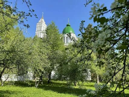 Филимонки