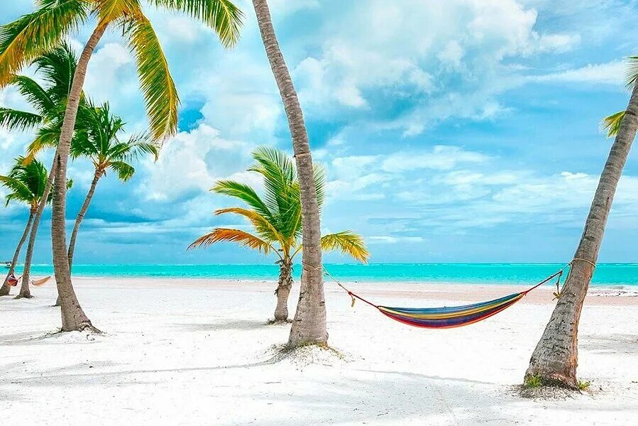 Поехать в доминикану. Пляж за границей. Barcelo bavaro beach 5 доминикана фото. Пунта кана пляж. Bavaro доминикана.
