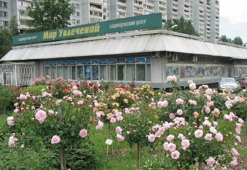 Мир увлечений садовый магазин. Садоводческий магазин. Москва улица санникова 13 садовый центр. Мир увлечений садовый магазин. Мир увлечений в медведково.