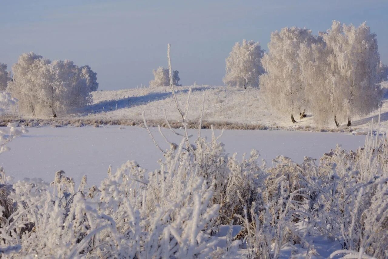 Утро 2 декабря. Фото зимнее утро в Башкортостане. Утро февраля Андроповский. Утро февраля Андроповский округ.