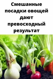 Данной овощ