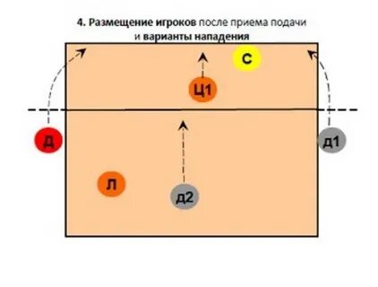 Расстановка 1 5 в волейболе с объяснением