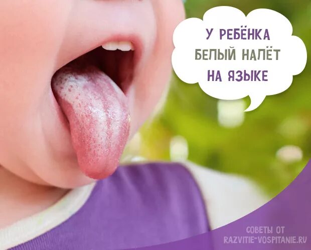 4 языка за год