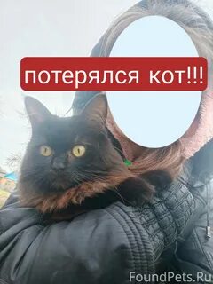 Прислать б