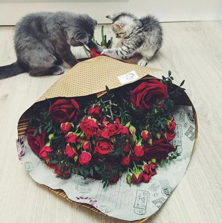 Ее не обязательно делать. Совершенно не обязательно делать великие вещи можно. совершенно не обязательно делать великие. необязательно это делать. великие вещи.