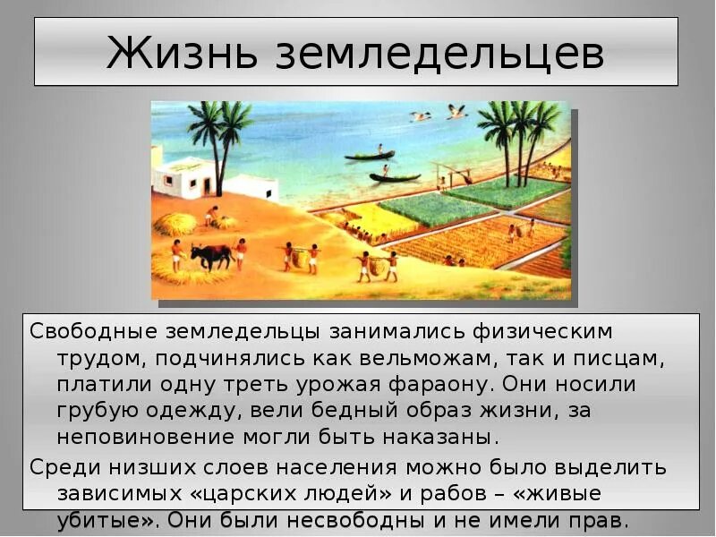 Один день из жизни земледельца в древнем египте 5 класс. Как жили земледельцы и ремесленники в древнем египте. Один день из жизни земледельца. Один день из жизни земледельца. Рассказ о жизни земледельца в древнем египте.
