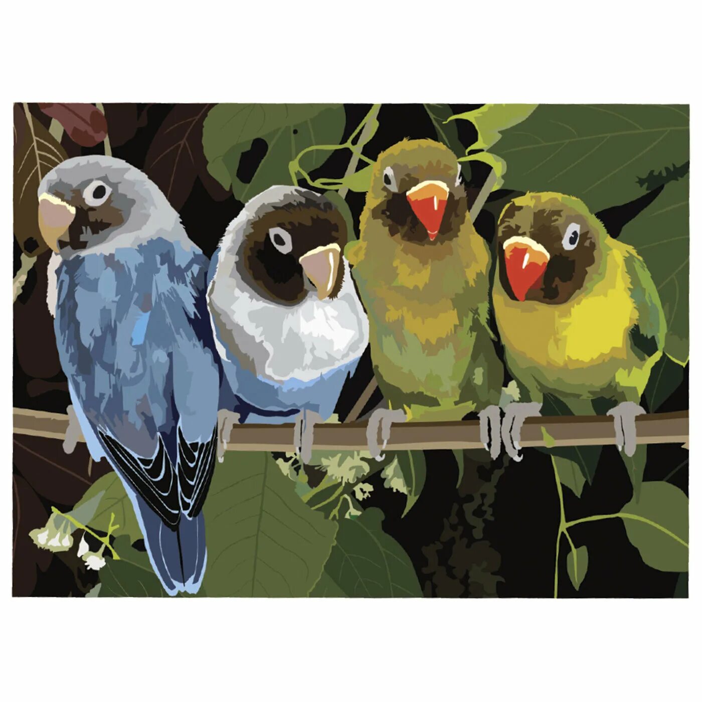 А в попугаях то. 38 попугаев а вдруг получится. А в попугаях то. Kinds of parrots. А в попугаях гораздо длиннее.