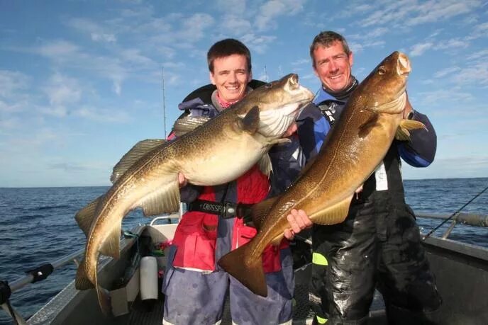 кобона зимняя рыбалка. клуб рыбаков клуб рыбаков. клуб рыбаков. охота и рыбалка журнал читать. питерская рыбалка.