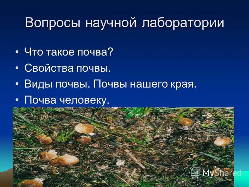 основные сведения о посве. характерные почвы нашего края. типы почв в россии подзолистые. основы сведения о почвах нашего края. характеристика почвы дерново подзолистые почвы.