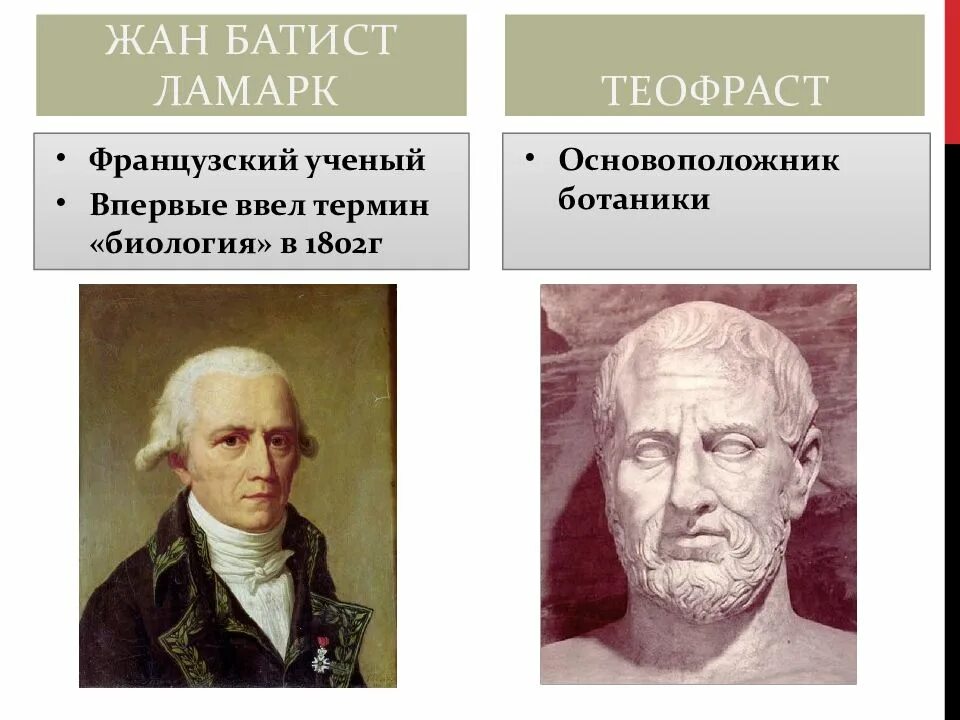 Основатель ботаники