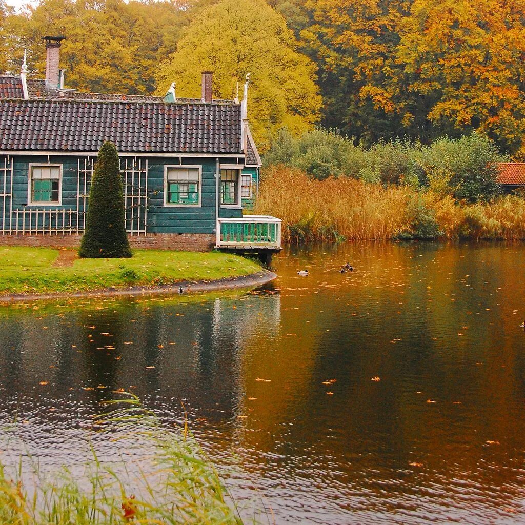 House near the lake. Хеди Барресс домик у озера. Дом у озера (США, 2006). Тини Хаус на берегу озера.