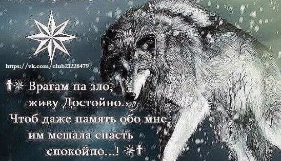 Живу назло врагам достойно. Живу врагам назло достойно чтоб даже память. Картинки врагам назло.