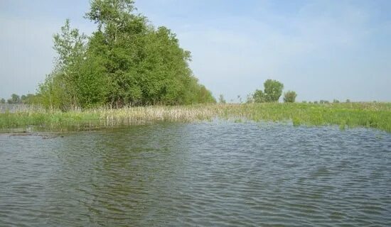 Rp5 никольское енотаевский район. Село Никольское Астраханская область. База Никольское Астраханская область Енотаевский район рыболовная. Село Никольское Енотаевский район Астраханская область. Рыболовная база "Никольское" Астрахань.