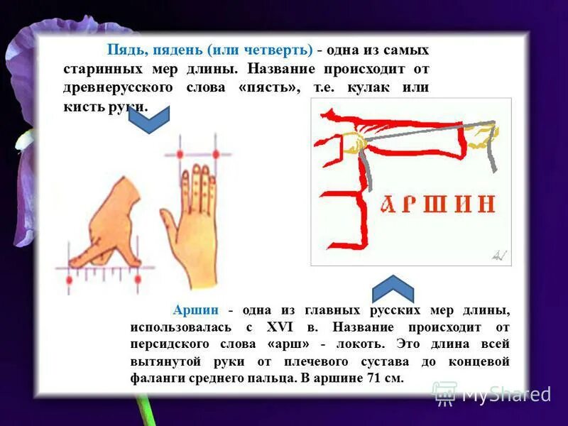 Три аршина 6 букв. Пядь мера длины. пядь и локоть. старинные меры длины. четверть аршина.